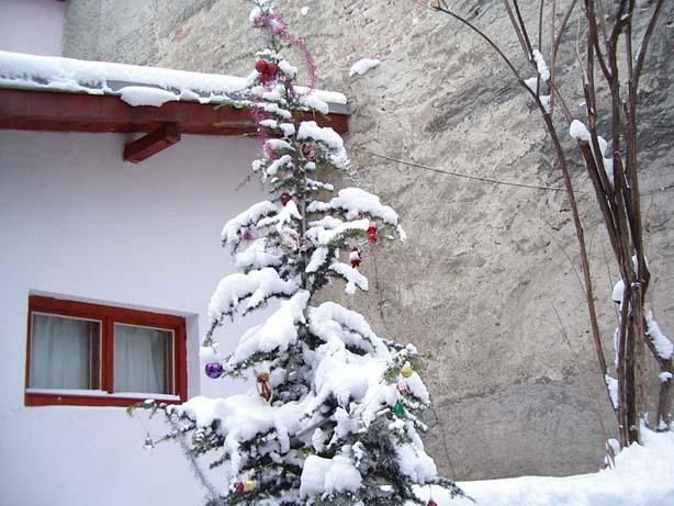 Гостевой дом Davidovi Relax Guest Rooms Варна-11