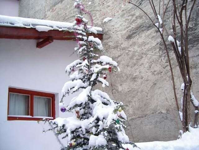 Гостевой дом Davidovi Relax Guest Rooms Варна-10